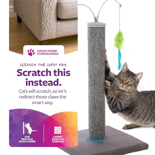 SmartyKat Scratch 'N Spin Carpet Cat Scratching Post with Spinning Wand Toys - Gray, One Size