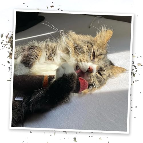 Meowijuana Catnip Cigar Cat Toy | Catnip & Valerian Root Plush Toy - color: Cigar