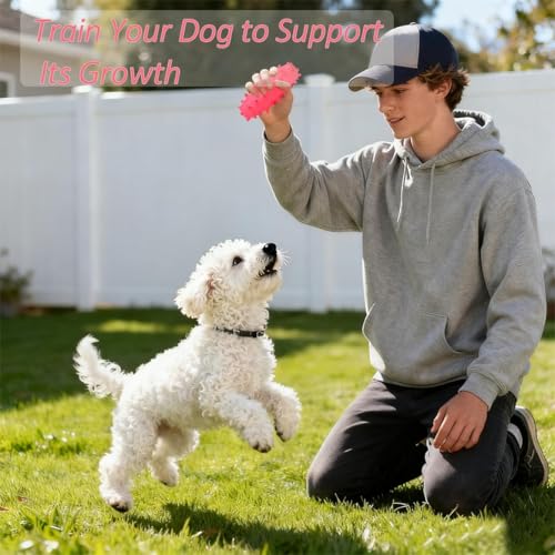 2 Pack Dog Pool Toys, Water Floating Toys for Puppies, Soft Foaming Rubber Toys for Small Medium Breed Dogs, Pink