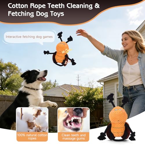 Yipetor Cockroach Squeaky Dog Toy, Puppy Rope Chew Toy for Medium Dogs - style: Modern