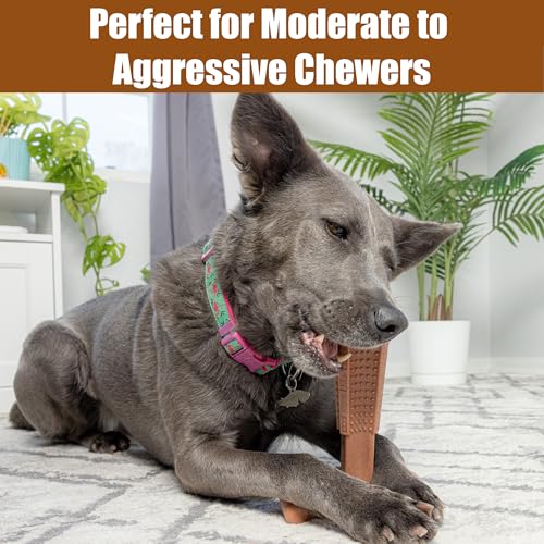 SPOT Bam-Bones Plus T-Bone Dog Chew, Beef, 7in, 60-90 lb Heavy Chewers - size: Large