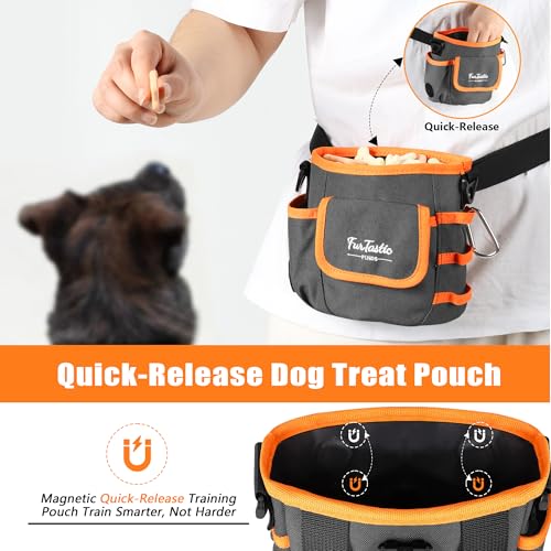 Dog Treat Pouch with Magnetic Closure for Pet Training - color: Dark Grey