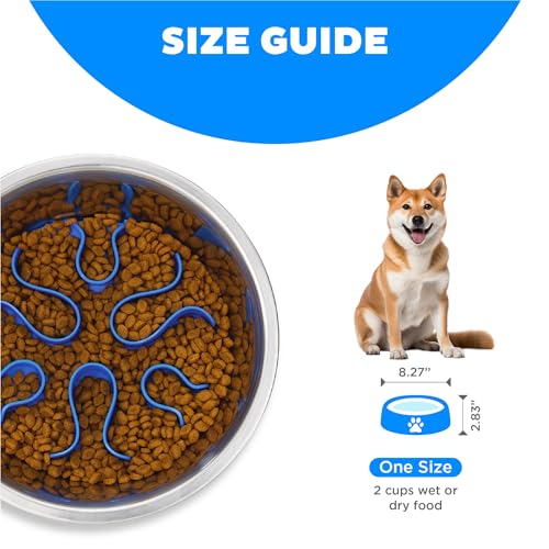 Outward Hound Fun Feeder Stainless Steel Slo Bowl for Dogs, 8.3", Medium (Pack of 12) - color: Stainless Steel, size: Medium (Pack of 12)