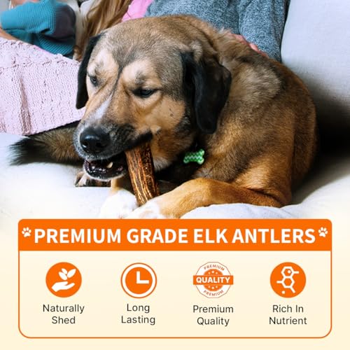 Tibetan Elk Antler for Jumbo Dogs, Grade-A, Premium Chews, Naturally shed Healthy & Longer Lasting Aggressive chewers, USA Product Antler (Split) - style: Split - Jumbo - 1 Pack