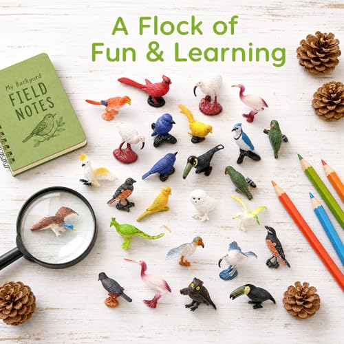 ZENFUN 29 Pieces Realistic Bird Animals Figurines, Mini Bird Model, Birds Cake Cupcake Topper, Parrot Figurine, Miniature Birds Animal Figure for Birthday Party Supply