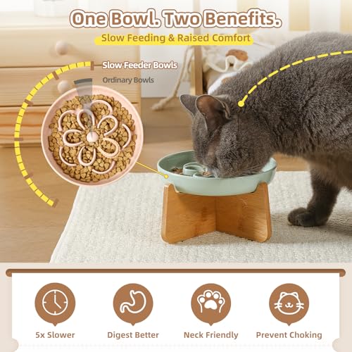 PTOBER Elevated Slow Feeder Cat Bowl - Melamine Cat Dish with Anti-Slip Bamboo Stand - Whisker Friendly Feeding Bowl - Floral Maze Food Plate for Slow Eating - White - color: White