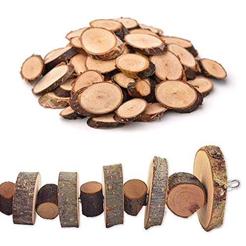 Small Animal Chews Toy Apple Wood Block Cage Hanging Molars Treats Snack