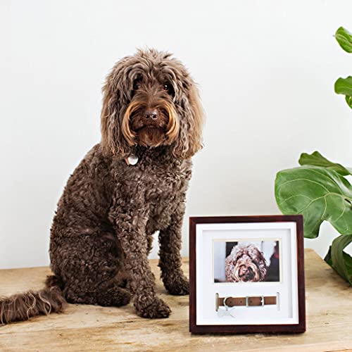 Pearhead Pet Collar Keepsake Picture Frame, Espresso - color: Espresso Collar Frame