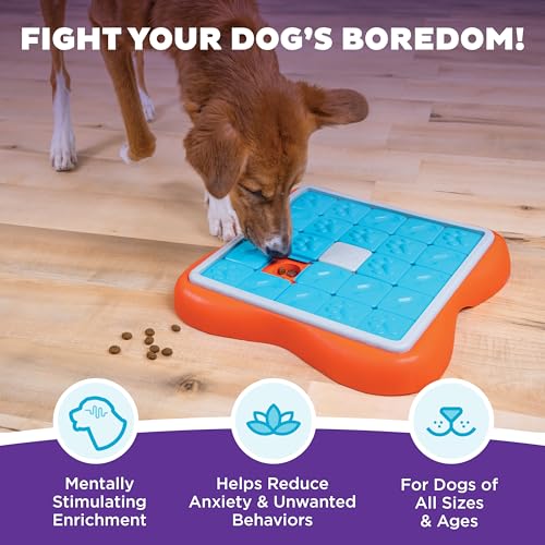 Outward Hound Nina Ottosson Challenge Slider Dog Toy Treat Puzzle, 14.7" - color: Challenge Slider (Orange, Blue), size: 1 Count (Pack of 1)