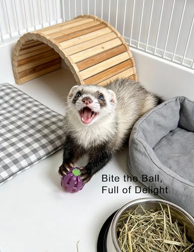10 Pack Jingle Bell Toy Balls for Ferrets Hollow Play Toys