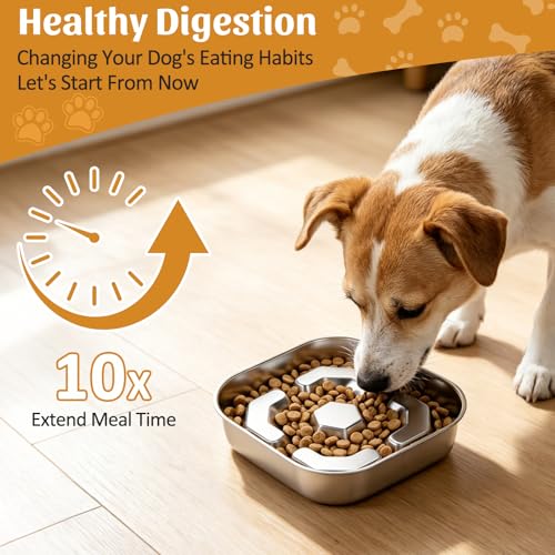 Stainless Steel Slow Feeder Dog Bowls with Non-Slip Rubber Base, 1 Pack