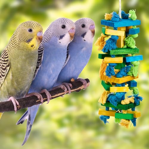Seenelling 3 Pcs Extra Large Bird Toys for Parrots, Blue Block - style: Blue Block