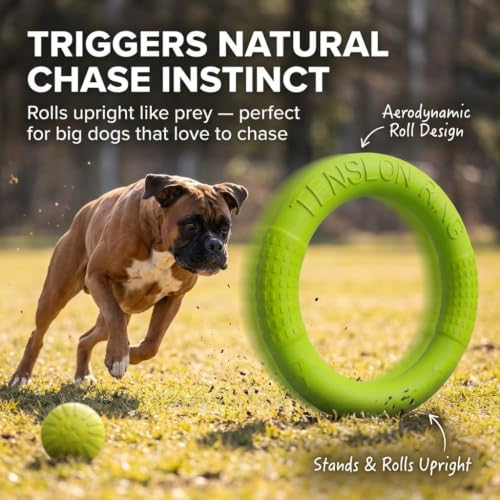 Large Dog Toy Ring and Ball Combo Set, Floating EVA 2 Pack (Green, Large) - color: Green, size: Large