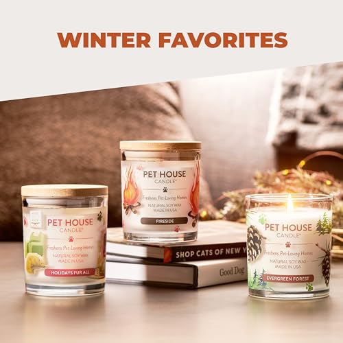 Vanilla Sandalwood Candle Pet Friendly Plant-Based Wax, Pet House - color: Vanilla Sandalwood, size: Pack of 1