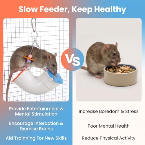Hanging Rat Foraging Toy Slow Feeder Fancy Cage Puzzle Toys
