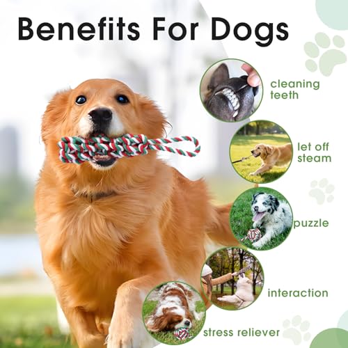 HOPET Dog Outdoor Bungee Hanging Toy, Tether Tug of War Toys for Medium to Large Dog to Exercise, Durable Interactive Tug Toy, Dog Rope Toys