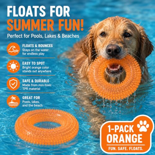 Squeaky Dog Toys for Aggressive Chewers, Floating Donut Ring for Large Dogs - color: Crystal Orange