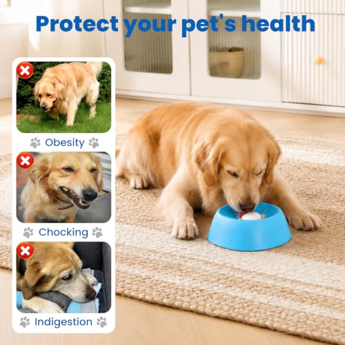 Slow Feeder Dog Bowl with Rolling Ball, Anti-Slip Lick Bowls with Ball