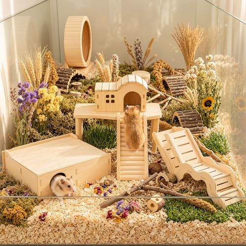 Novabright 5 Pcs Hamster Platform Set Including Wooden Hideout Tunnel Toy Multi Chamber Secret Climbing Ladder Bridge Wooden House Cage Accessories for Small Animal Gerbils Dwarf Syrian - style: Climbing Adventure Set