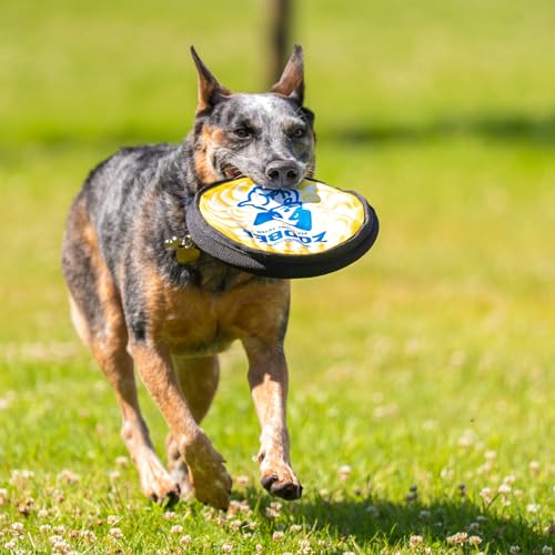 The ZooKeeper ZooBee Flying Disc Dog Toy – Soft & Durable Toss Disc, Yellow - color: Yellow