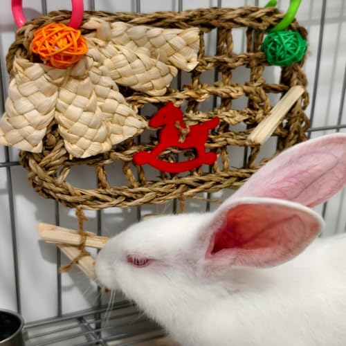 Rabbits Chew Toy, Bunny Cage Hanging Chew Toys and Treats - size: Standard