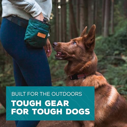 Wilderdog Dog Training Treat Pouch with Magnetic and Zipper Closure, Carabiner Attached, Adjustable Waist Strap - Black - color: Black