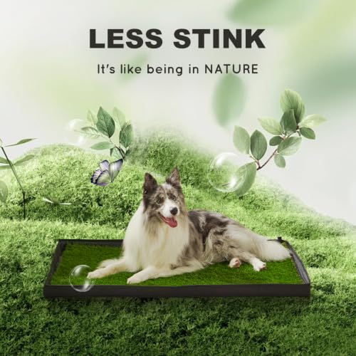 HQ4US 4LEGS Dog Grass Pad with Dog Litter Box, Foldable X-Large Liner Base - size: X-Large for Dog＜ 38" Length