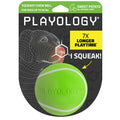 Playology Squeaky Chew Ball Dog Toy - Medium, Sweet Potato Scent - size: Medium, style: Sweet Potato