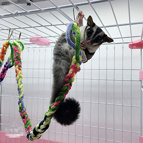 RIOUSSI Handmade Sugar Glider Toys & Cage Accessories, Random Color, 6 Pack - color: Random - 6 Pack