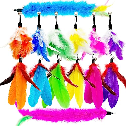 Cat Feather Toys Refills, 14 Pieces Natural Feathers Refills, Cat Wand Replacement Feathers Toy for Indoor Cats - color: 14 PCS Cat Feather Toy Refills