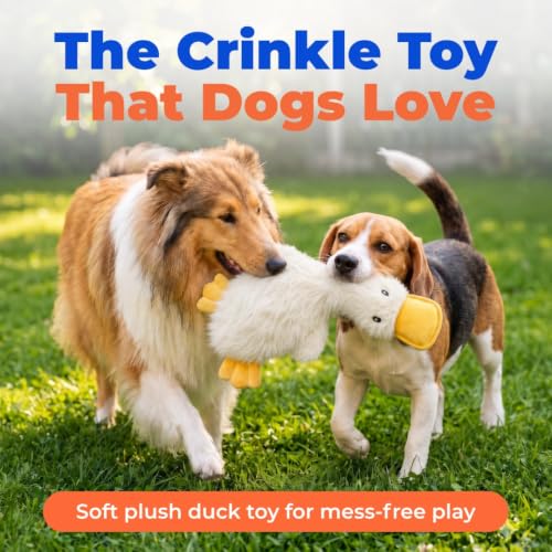 Best Pet Supplies Interactive Squeaky Dog Toy - Crinkle Duck, White - color: Crinkle Duck (White), size: Large