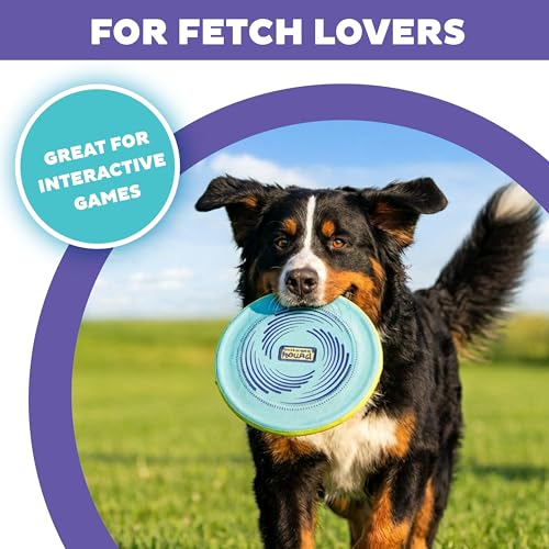 Outward Hound FlyFetch Disc Dog Toy, Aerodynamic for Fetch, Lightweight Foam & Durable Rubber, Floats in Water, All Breeds, 8.3" - color: Blue