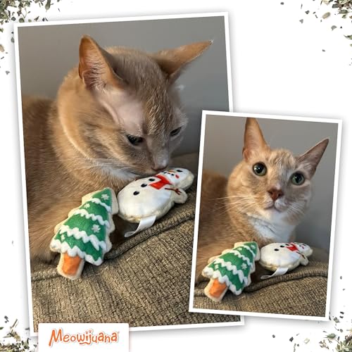 Meowijuana Holiday Cat Toy Bundle | Eggnog & Frosted Sugar Cookies Plush - color: Eggnog & Get Frosted Sugar Cookies