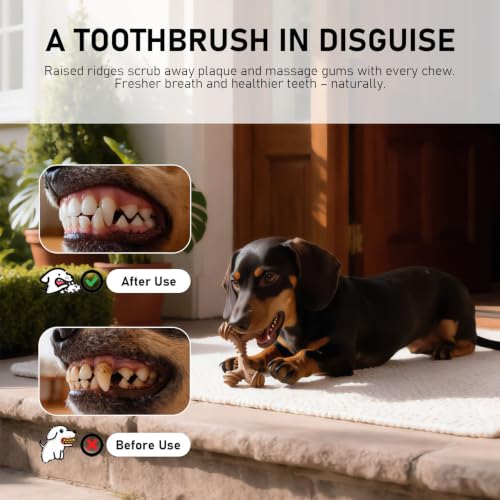 MECOOL Indestructible Dog Chew Toys for Aggressive Chewers 5PCS, Durable Bacon Flavored Nylon Bones for Small Dogs, Puppy Teething Toys, Long Lasting Nylon Dog Chews - size: 5PC