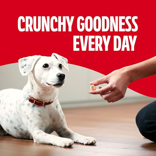 Milk-Bone MaroSnacks Small Dog Treats with Real Bone Marrow, 40 Oz. - size: 40 Ounce (Pack of 1)