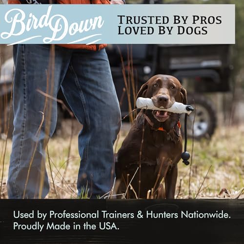 Conquest Scents BirdDown Scent Stick, Dog Training Scent Wax, 2.5 oz - style: Quail