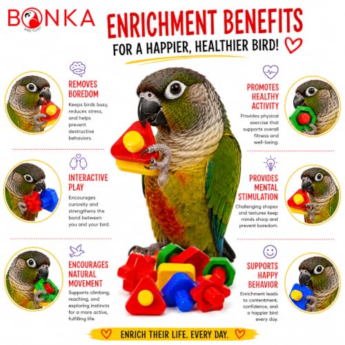Bonka Bird Toys 3505 Pk6 Huge Nuts and Bolts Colorful Enticing Large Screw Interactive Foot Beak Throw Parrot Cockatoo Amazon African Grey Macaw Hyacinth