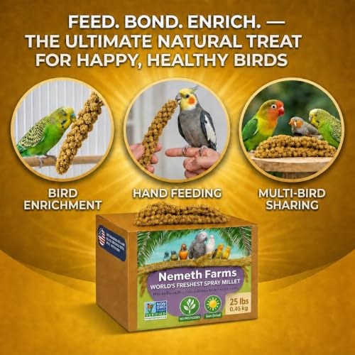 Nemeth Farms Spray Millet for Birds - Natural Non-GMO Millet Treat for Parakeets, Cockatiels & Parrots - 25 lb - size: 25 Pound (Pack of 1)