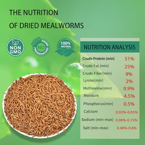 Dried Mealworms 20LB Pure Natural Chicken Treat for Laying Hens Wild Bird - size: 10 Pound (Pack of 2)