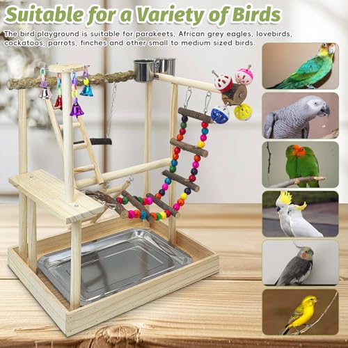 PINVNBY Bird Playground Parrot Natural Wooden Perch Stand Birds Gym - size: Two Floors With Bell Platform