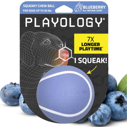 Playology Squeaky Chew Ball Dog Toy - Medium, Blueberry Scent - size: Medium, style: Blueberry