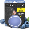 Playology Squeaky Chew Ball Dog Toy - Medium, Blueberry Scent - size: Medium, style: Blueberry