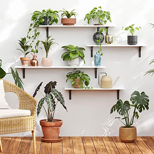 DINZI LVJ Long Wall Shelves, 23.6Inch Wooden Wall Mounted Shelves, Set of 2 - color: White, size: 23.6 Inch