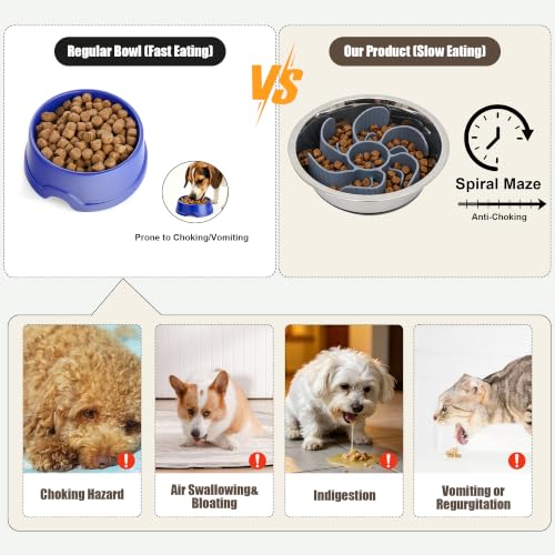 Nonslip Stainless Bowl Slow Feeder Kit for Small Dogs & Cats, Anti Gulping