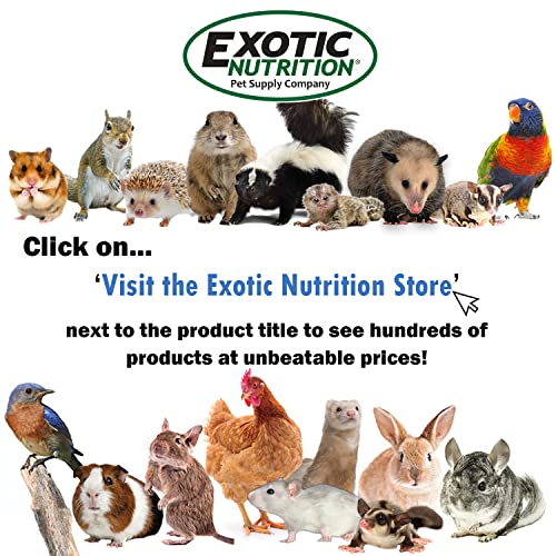 Exotic Nutrition Nap Nook - Unique Nest Pod Cage Accessory Toy - Use Grounded or Hanging - Sugar Gliders, Hamsters, Mice, Rats, Birds, Degus, Chinchillas, & Other Small Pets (Small) - size: Small