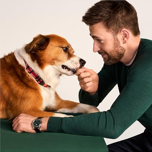 Jinx Dog Training Treats, Bite-Sized Training Treats for Dogs, Beef, 4oz - size: 4 Ounce (Pack of 6)