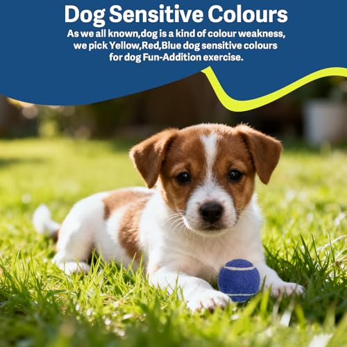 1.5" Small Tennis Balls for Dogs - Cat Toy 3 Colours and Pack of 12 Mini Tennis Balls for Small Dogs
