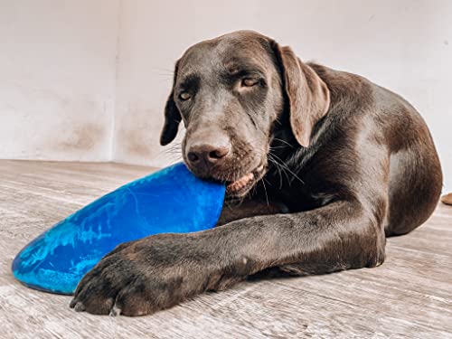 SuperChewer Tough Flying Disc Toy | Lifetime Replacement | Strong Natural Rubber | Great Dog Fetch Toys | Rubber Disc Toy for Dogs | Ultra Durable Chew Toys for Aggressive Chewers | for All Breeds - size: Large