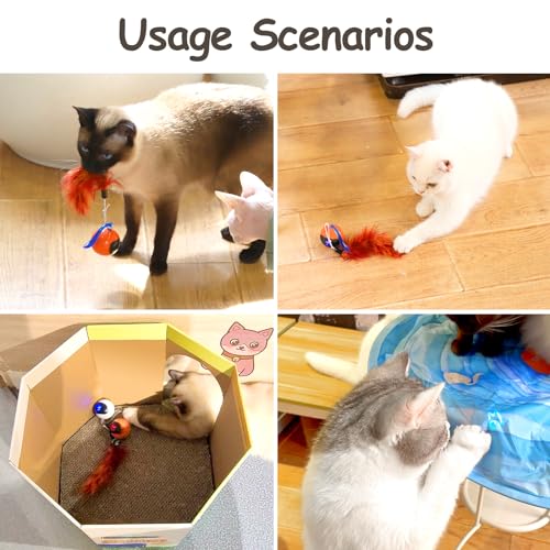 Migipaws Interactive Cat Ball Toy Set, Fun Tracker, Automatic Rolling Chase Ball with Fluffy Tail, A Small Mice, Rechargeable (Orange) - color: Orange
