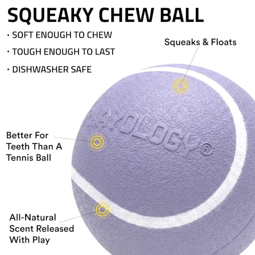 Playology Squeaky Chew Ball Dog Toy - Medium, Lamb Scent - size: Medium, style: Lamb